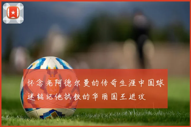 怀念老阿德尔曼的传奇生涯中国球迷铭记他执教的华丽国王进攻